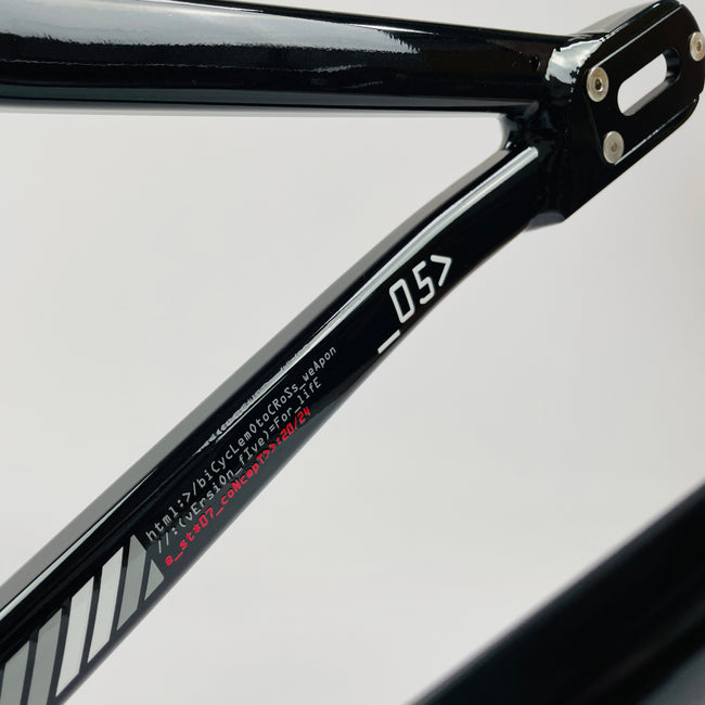 Stay Strong For Life V5 V-Brake Alloy BMX Race Frame-White/Black - 4