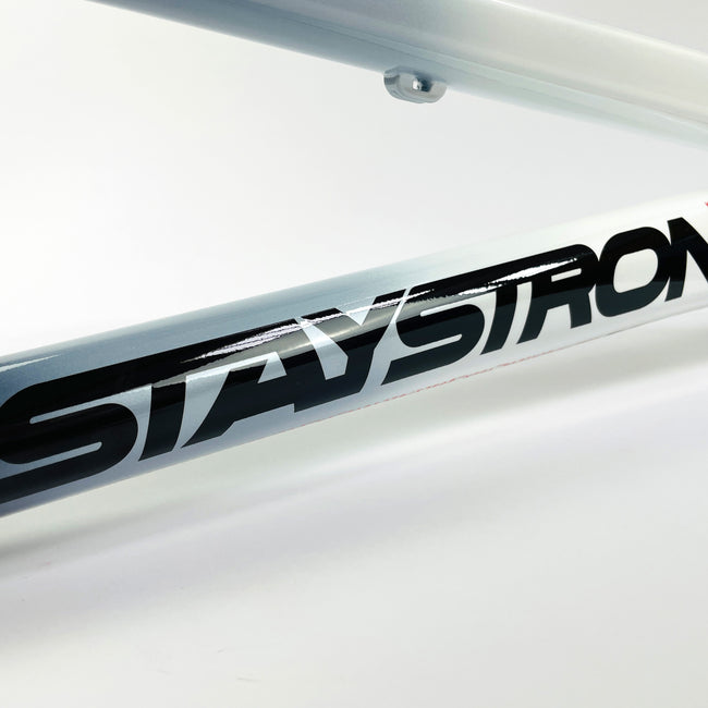 Stay Strong For Life V5 V-Brake Alloy BMX Race Frame-White/Black - 6