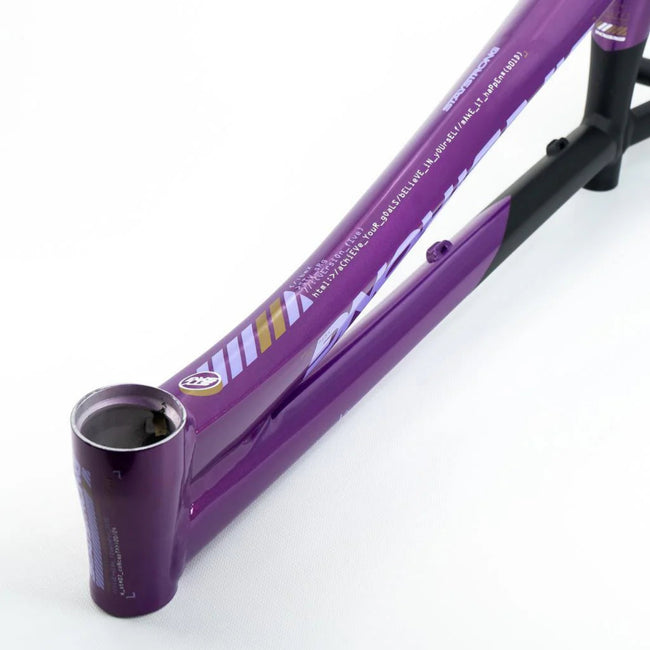 Stay Strong For Life V5 Disc Alloy BMX Race Frame-Purple/Black - 3