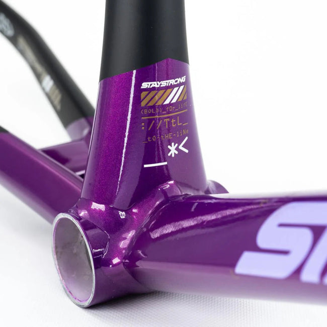 Stay Strong For Life V5 Disc Alloy BMX Race Frame-Purple/Black - 4