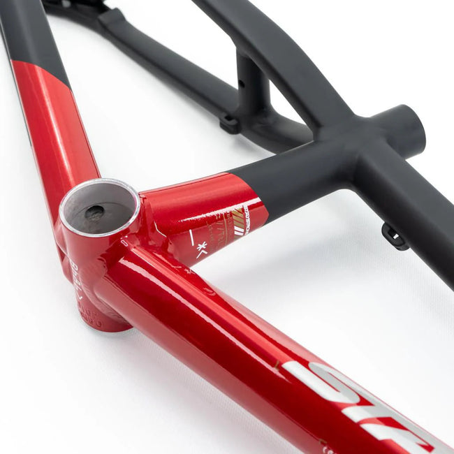 Stay Strong For Life V5 Disc Alloy BMX Race Frame-Red/Black - 4