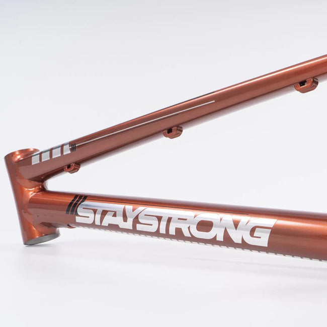 Stay Strong For Life V4 Alloy BMX Race Frame-Copper V-brake version - 7