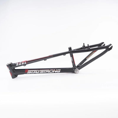 Stay Strong For Life V4 Alloy BMX Race Frame-Grey/Silver V-brake version