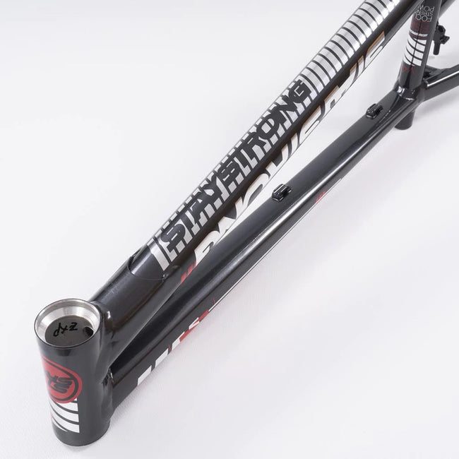 Stay Strong For Life V4 Alloy BMX Race Frame-Grey/Silver V-brake version - 4