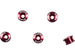 Sinz Alloy Chainring Bolts - 2